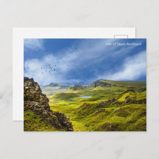 はがき (正面/裏面)