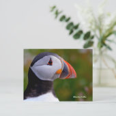 はがき (スタンド正面)