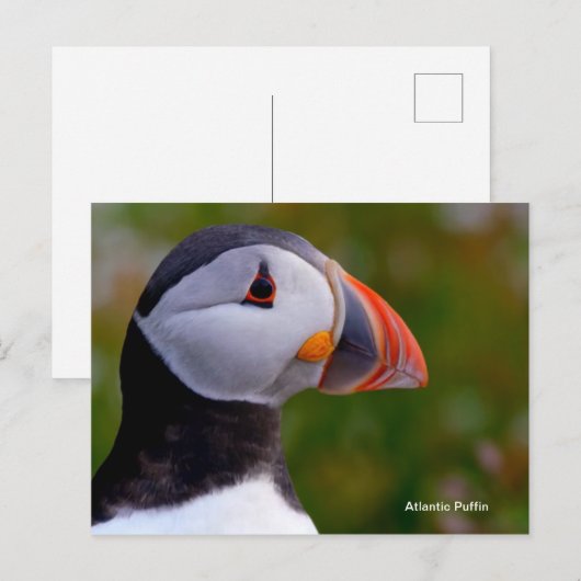 はがき (正面/裏面)