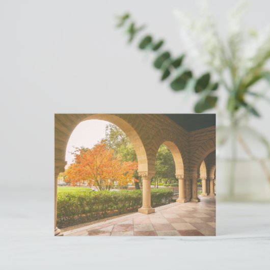 はがき (スタンド正面)