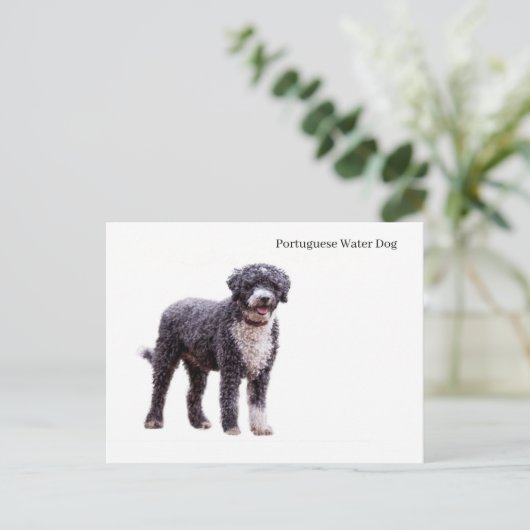はがき (スタンド正面)