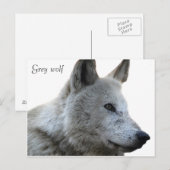 はがき (正面/裏面)