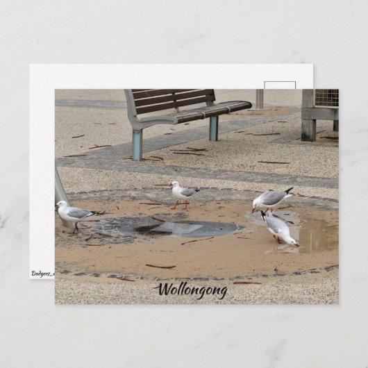 はがき (正面/裏面)