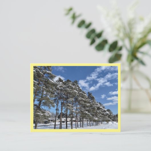 はがき (スタンド正面)