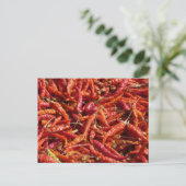 はがき (スタンド正面)