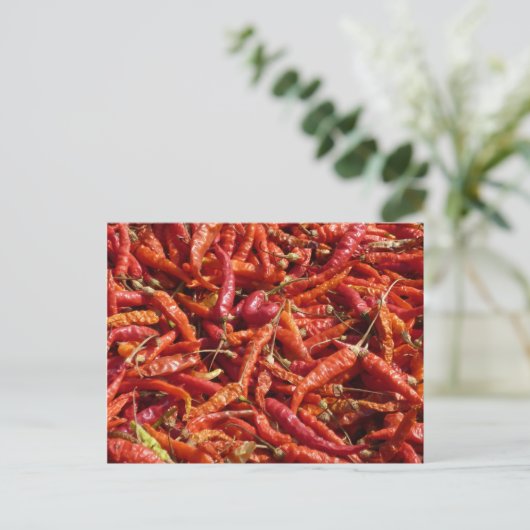 はがき (スタンド正面)