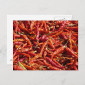 はがき (正面/裏面)