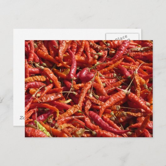 はがき (正面/裏面)