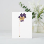 はがき (スタンド正面)