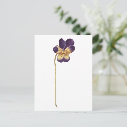 はがき (スタンド正面)