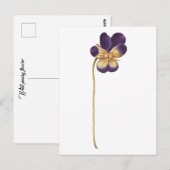 はがき (正面/裏面)