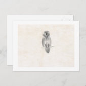 はがき (正面/裏面)