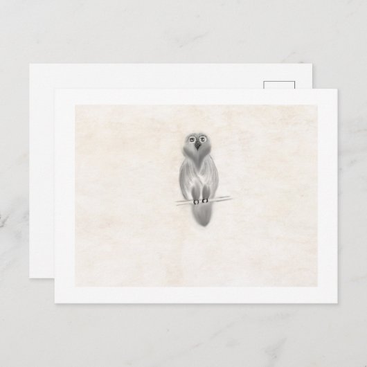 はがき (正面/裏面)