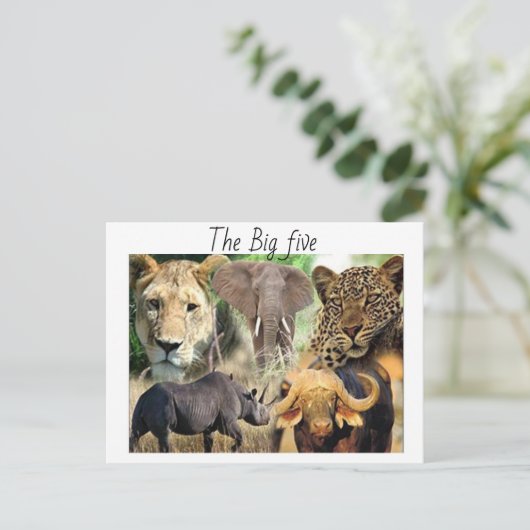 はがき (スタンド正面)