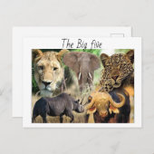 はがき (正面/裏面)