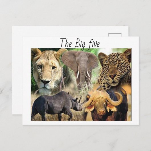 はがき (正面/裏面)