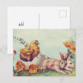 はがき (正面/裏面)