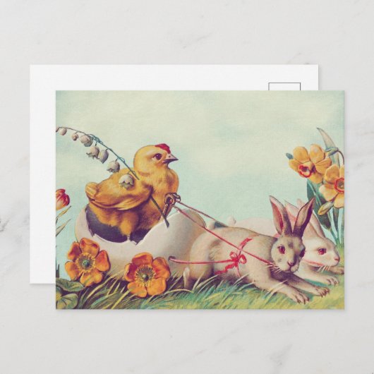 はがき (正面/裏面)