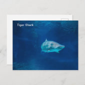 はがき (正面/裏面)