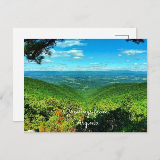 はがき (正面/裏面)