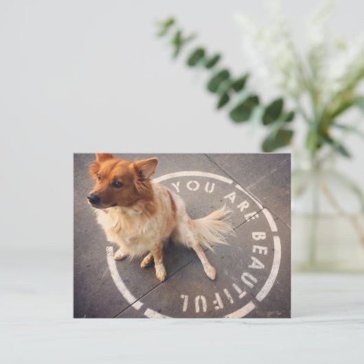 はがき (スタンド正面)