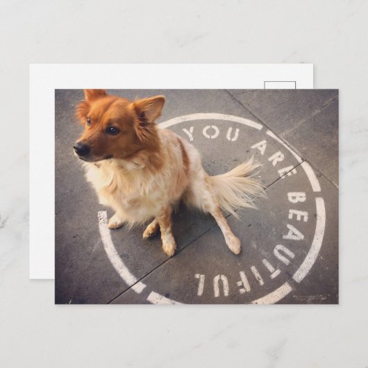 はがき (正面/裏面)