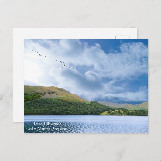 はがき (正面/裏面)