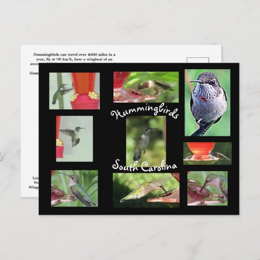 はがき (正面/裏面)