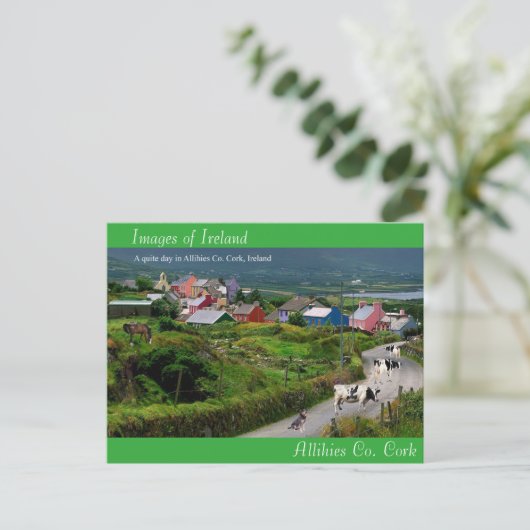 はがき (スタンド正面)