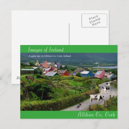 はがき (正面/裏面)