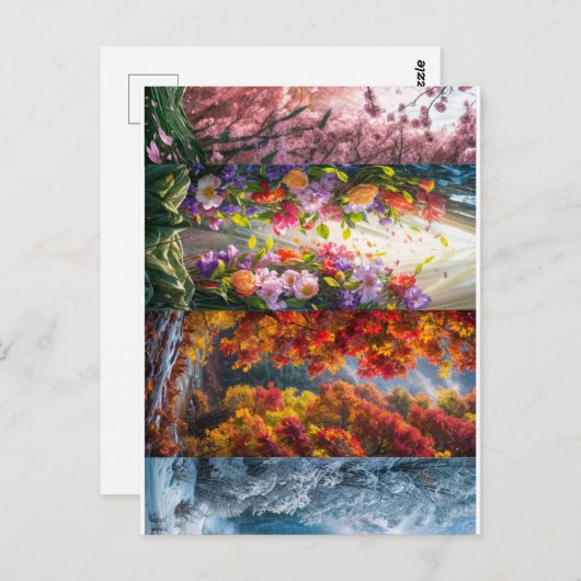 はがき (正面/裏面)