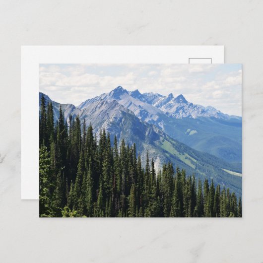 はがき (正面/裏面)