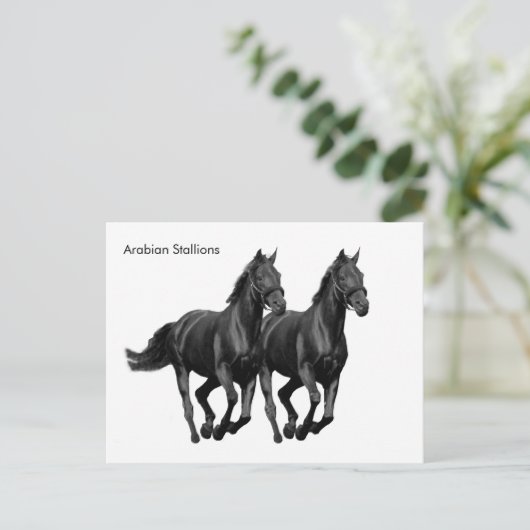 はがき (スタンド正面)