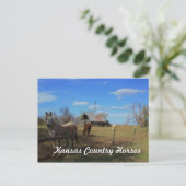 はがき (スタンド正面)