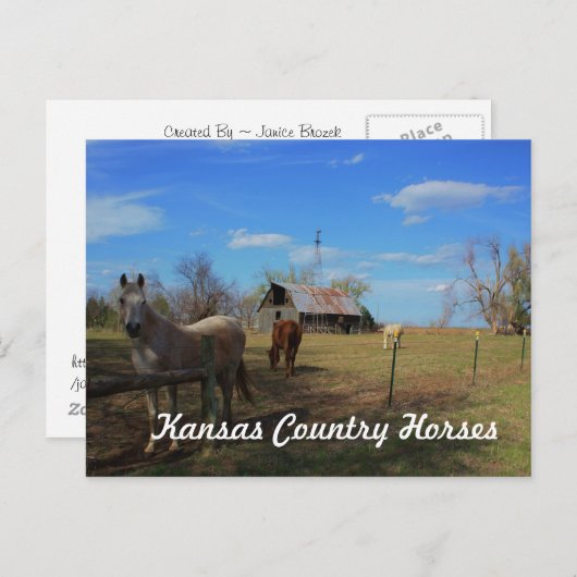 はがき (正面/裏面)