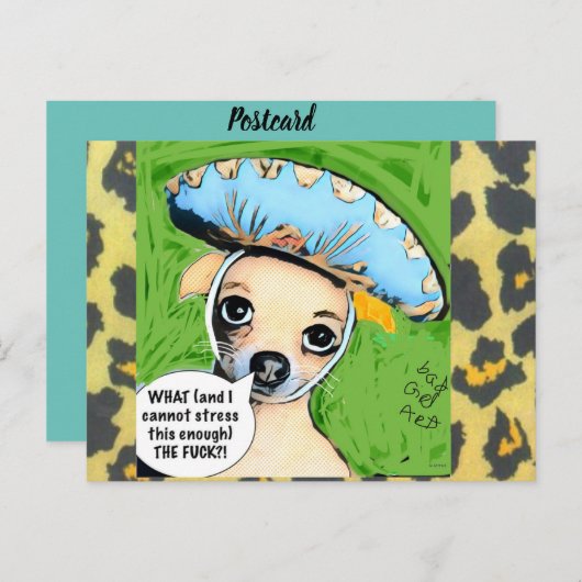 はがき (正面/裏面)