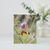 はがき (スタンド正面)