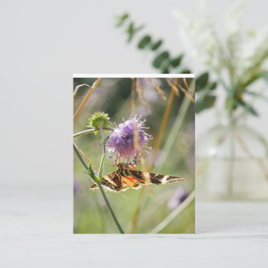 はがき (スタンド正面)