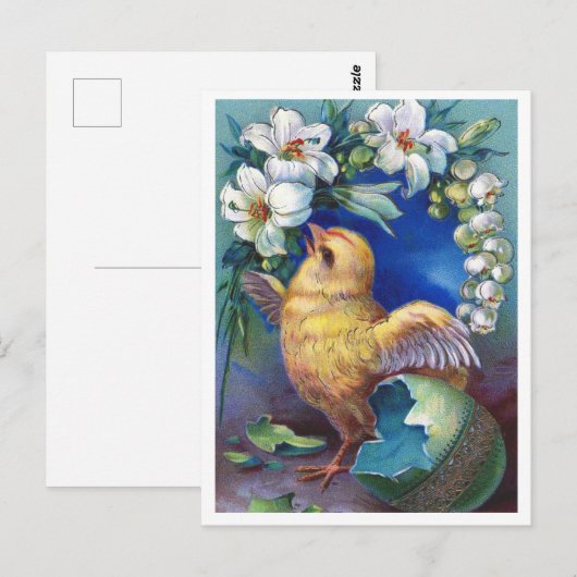 はがき (正面/裏面)