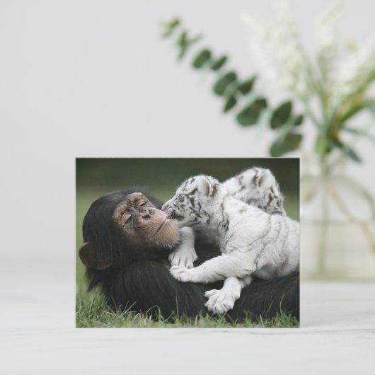 はがき (スタンド正面)