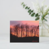 はがき (スタンド正面)