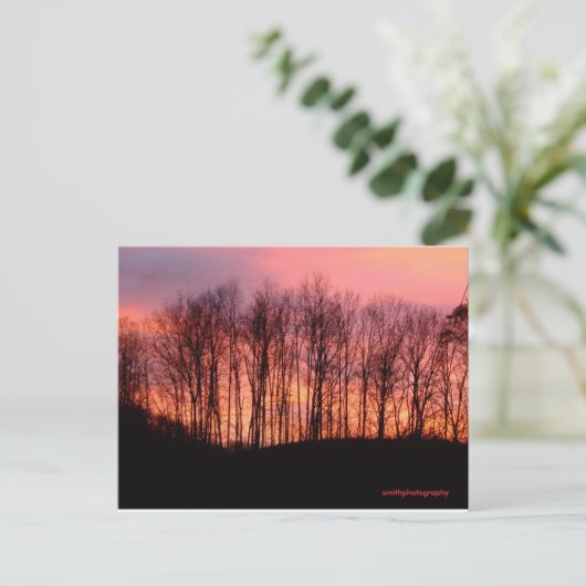 はがき (スタンド正面)