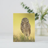 はがき (スタンド正面)