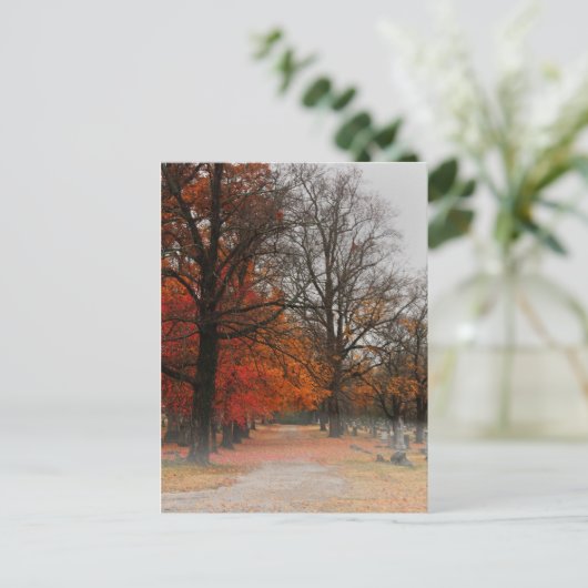 はがき (スタンド正面)