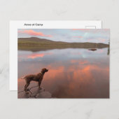 はがき (正面/裏面)