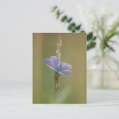 はがき (スタンド正面)