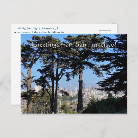 はがき (正面/裏面)