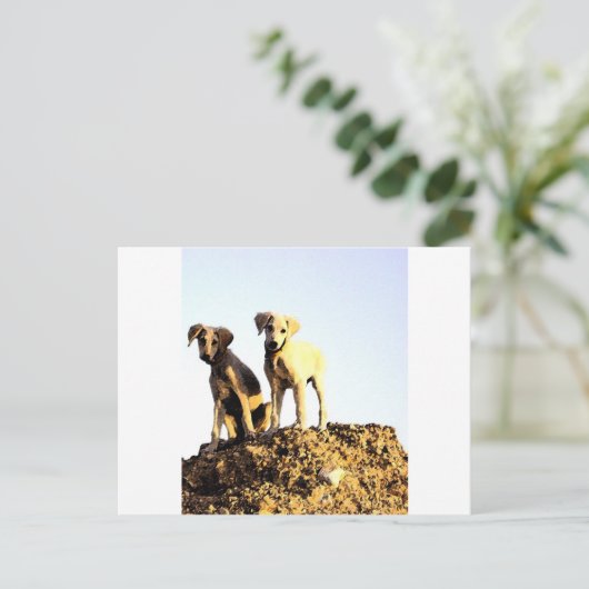 はがき (スタンド正面)