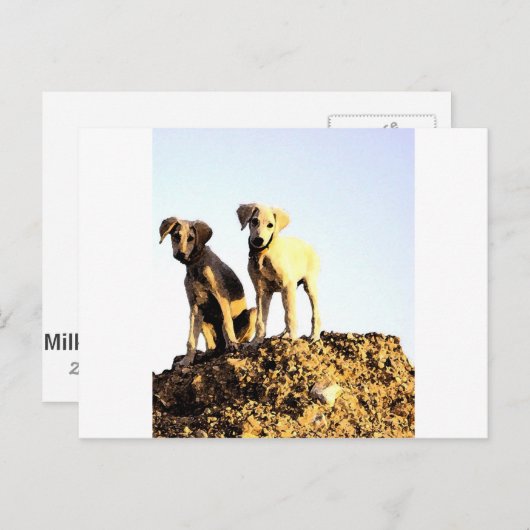 はがき (正面/裏面)