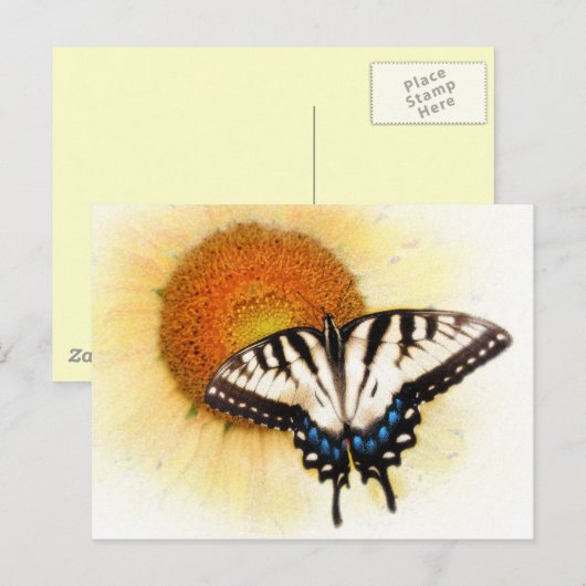 はがき (正面/裏面)